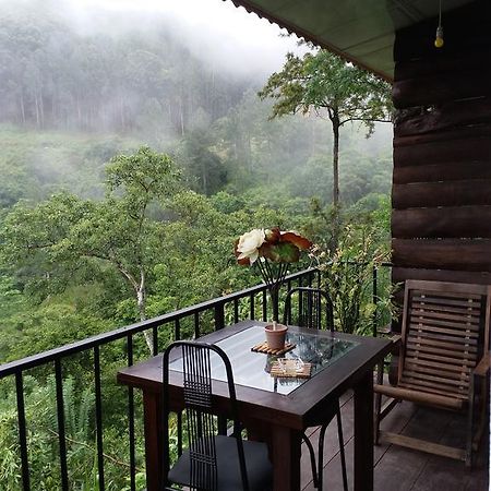 Green Lushy Home Stay Ella Luaran gambar