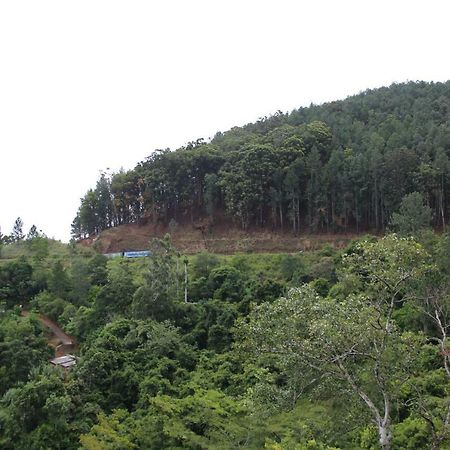 Green Lushy Home Stay Ella Luaran gambar