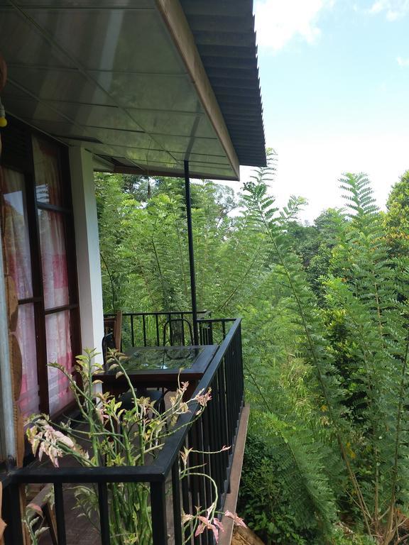 Green Lushy Home Stay Ella Luaran gambar