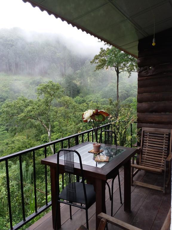 Green Lushy Home Stay Ella Luaran gambar