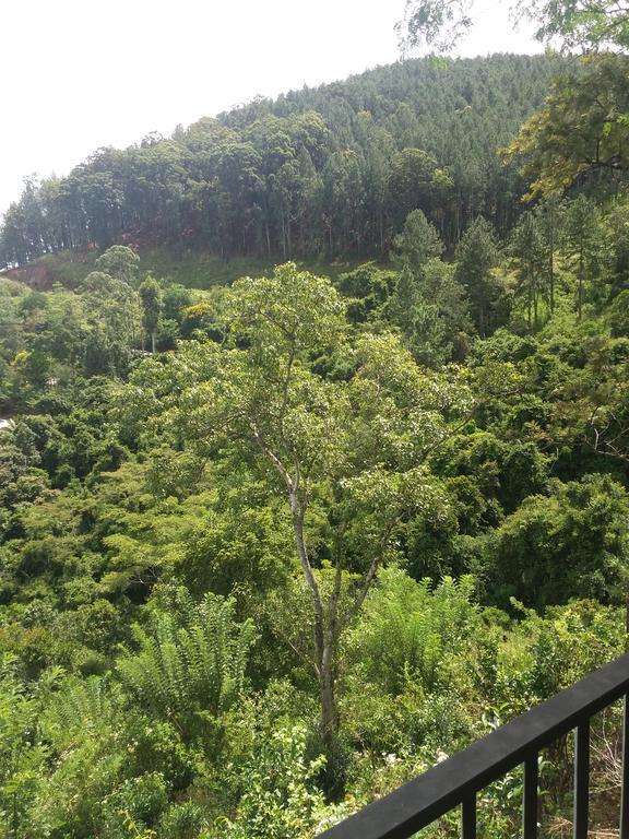 Green Lushy Home Stay Ella Luaran gambar