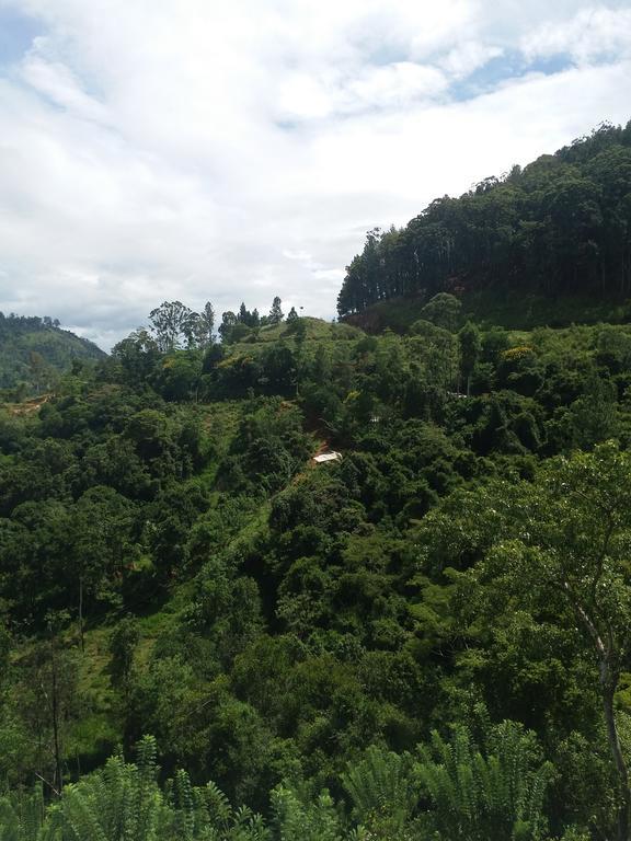 Green Lushy Home Stay Ella Luaran gambar