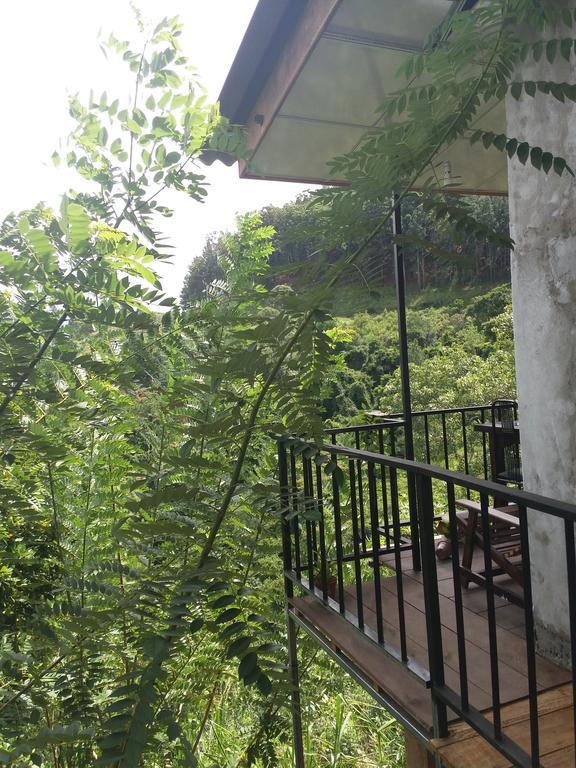 Green Lushy Home Stay Ella Luaran gambar