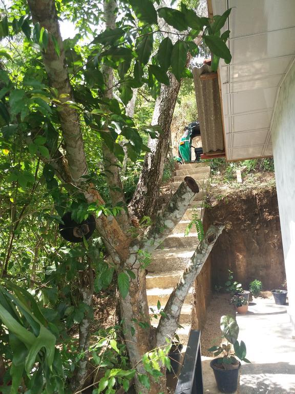 Green Lushy Home Stay Ella Luaran gambar
