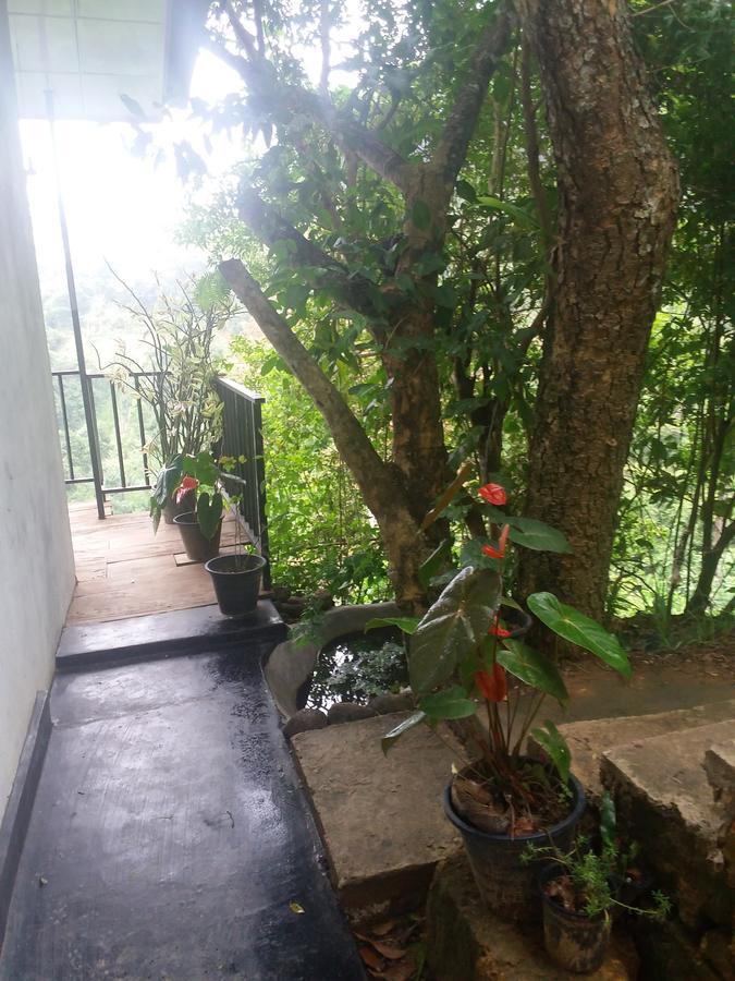 Green Lushy Home Stay Ella Luaran gambar